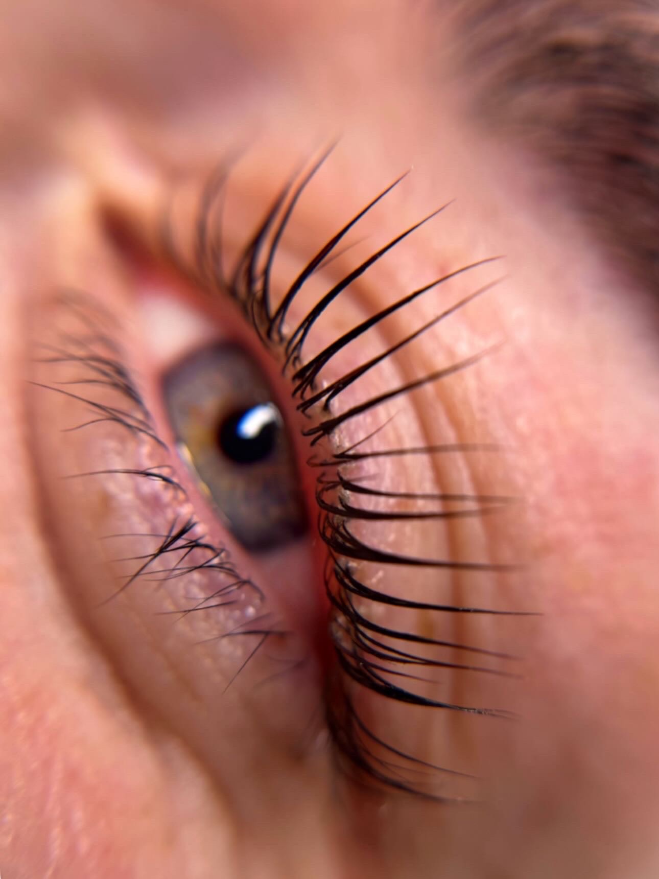 Lashlifting Piešťany – vytočené mihalnice, Mya Beauty Studio
